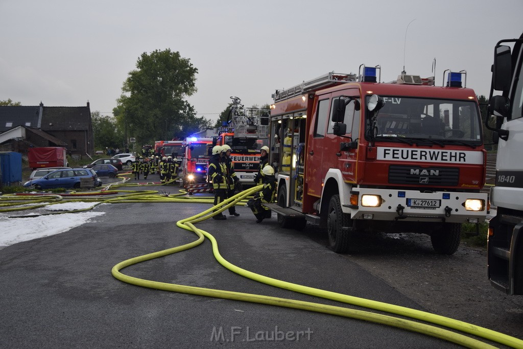 Feuer 3 Rheinkassel Feldkasseler Weg P1027.JPG - Miklos Laubert